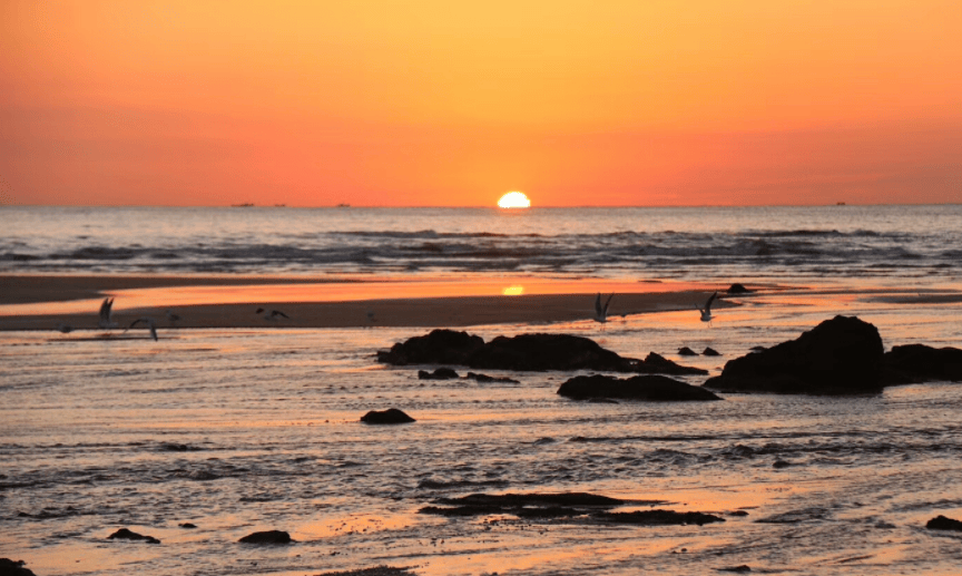 写给去日照的姐妹,超全避雷攻略