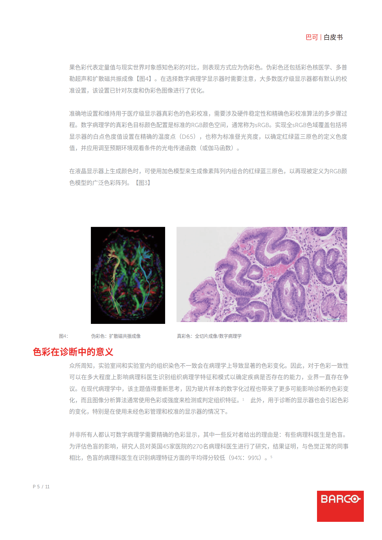 病理报告单图片 模板图片