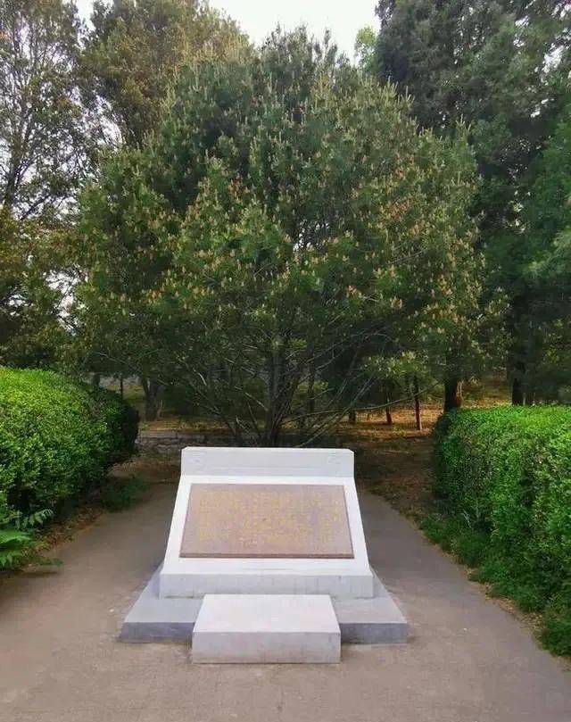 王桂荃要侍寝,梁启超大怒表明主张一夫一妻,妻子笑:她还是丫鬟