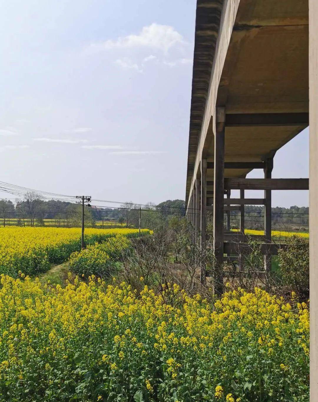 回看韶山灌区-将是未来"无价级"的e甸园