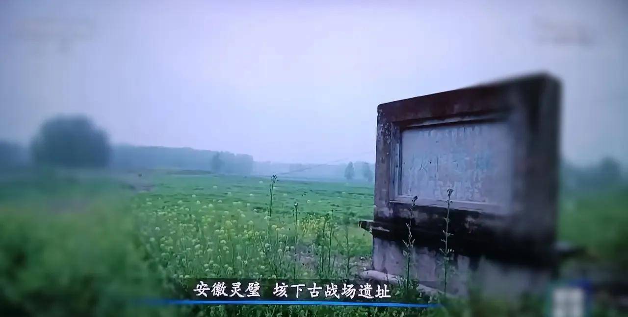 萧何,功成名就后又自毁名声,背后原因给了我们哪些警示和启发?