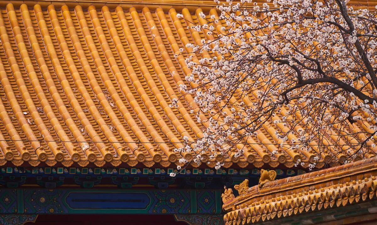 见证历史变迁的末代皇帝-爱新觉罗·溥仪
