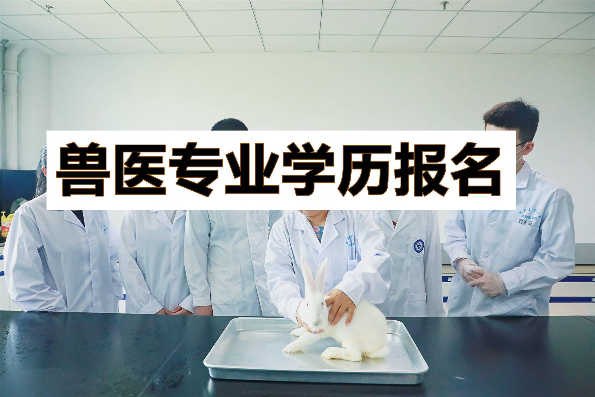 西藏自治区西藏职业技术学院畜牧兽医成人大专报名流程公布