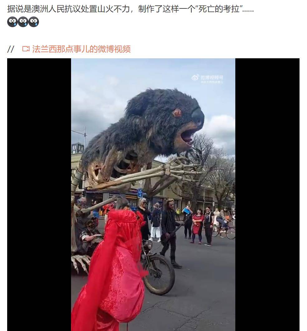 反观澳大利亚山火,拖拖拉拉烧了小一年,2020年7月28日,世界自然基金会