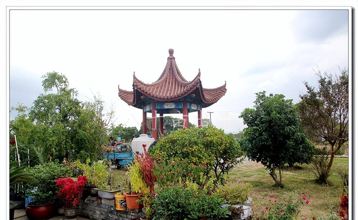 "仲草走天下,一席创世界"-仲一村(宁波市海曙区古林镇)