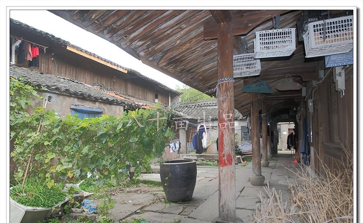 "仲草走天下,一席创世界"-仲一村(宁波市海曙区古林镇)