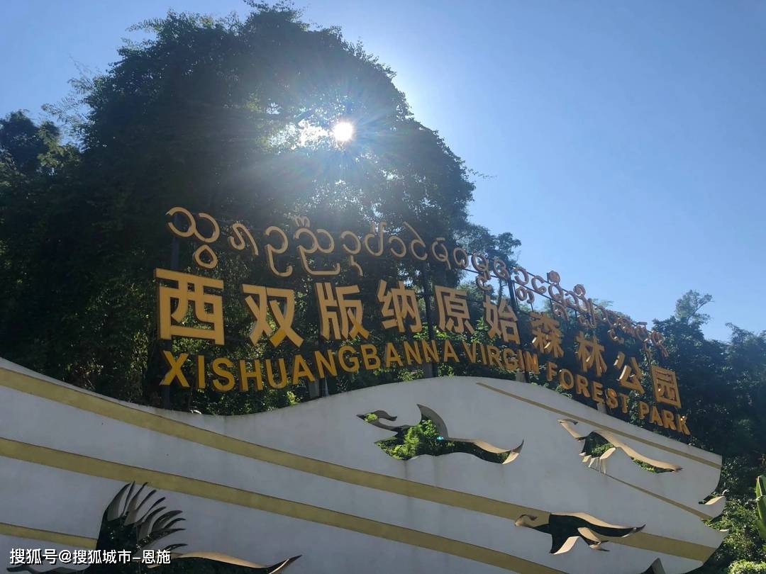 云南纯玩团六天价格是多少,建议收藏!