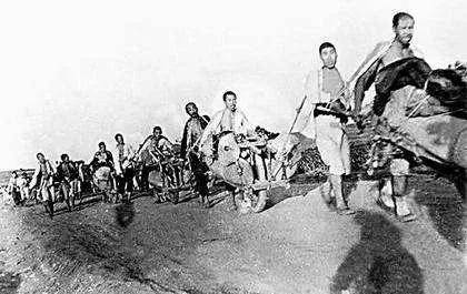 淮海战役中的"小推车"王德汇报完后,刘伯承说:"请陈毅司令补充.