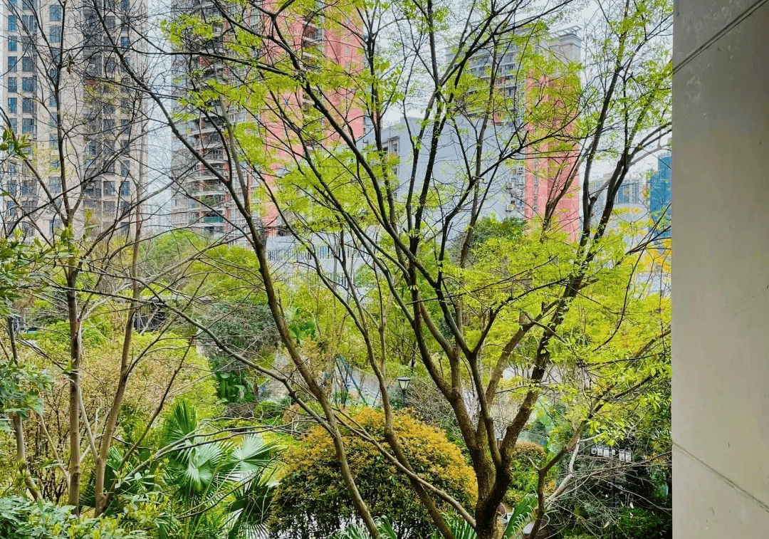 邻居之间的距离感也比较近,有助于建立邻里关系,减少社交孤立感.