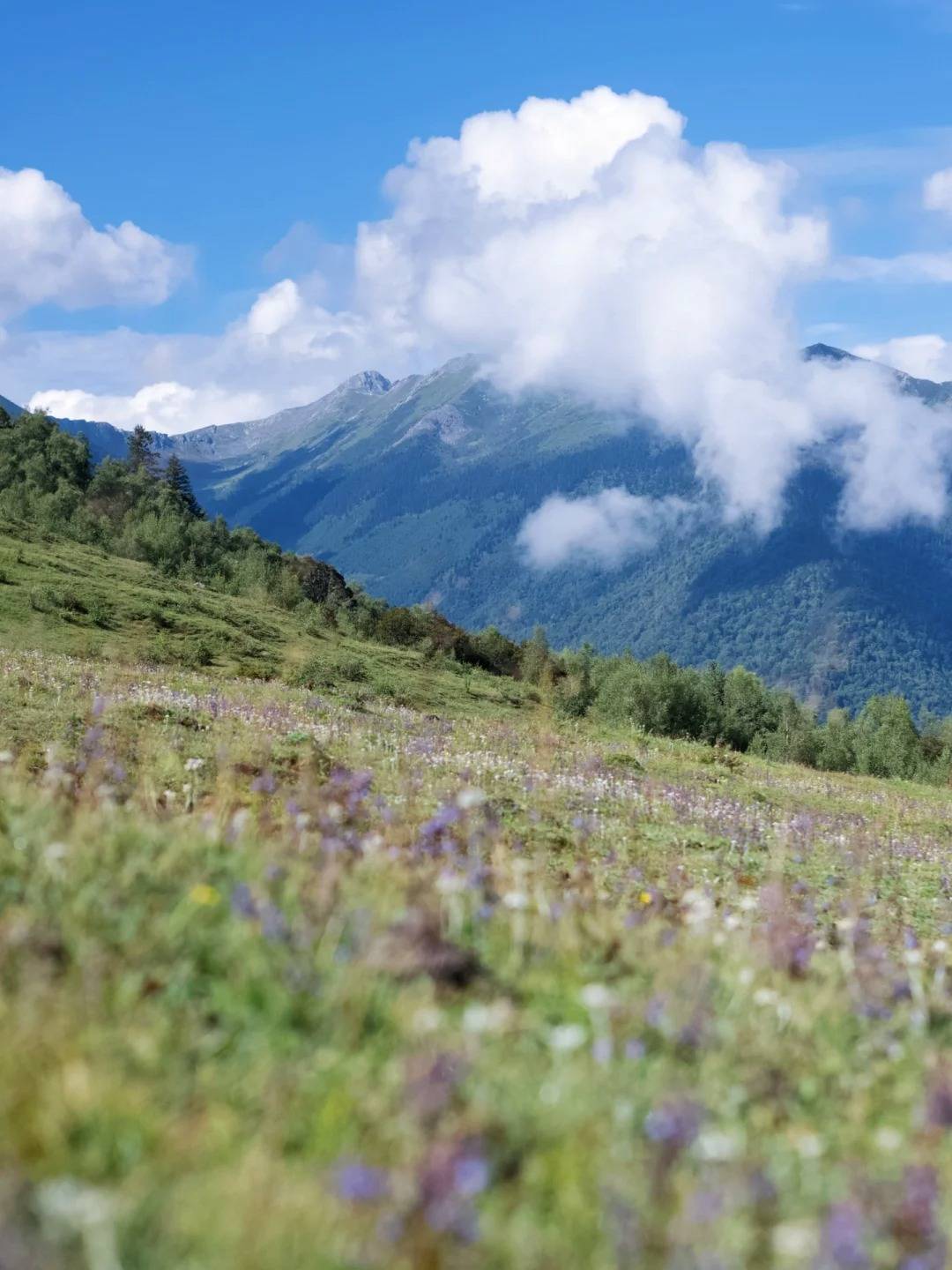 天成都周边人少又可以免费露营徒步的小众景点路线_甲根坝_门票_导航