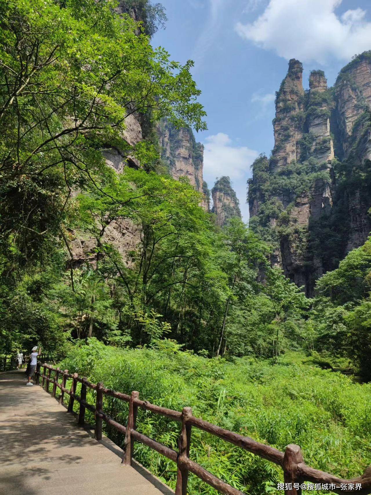 去张家界旅游想把景点都玩到,行程怎么安排合理,大概要花多少钱?