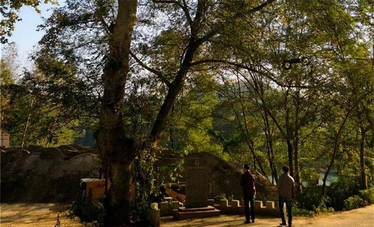 夜幕下两支部队相遇,都以为是自己人,一喊话才知道是敌军