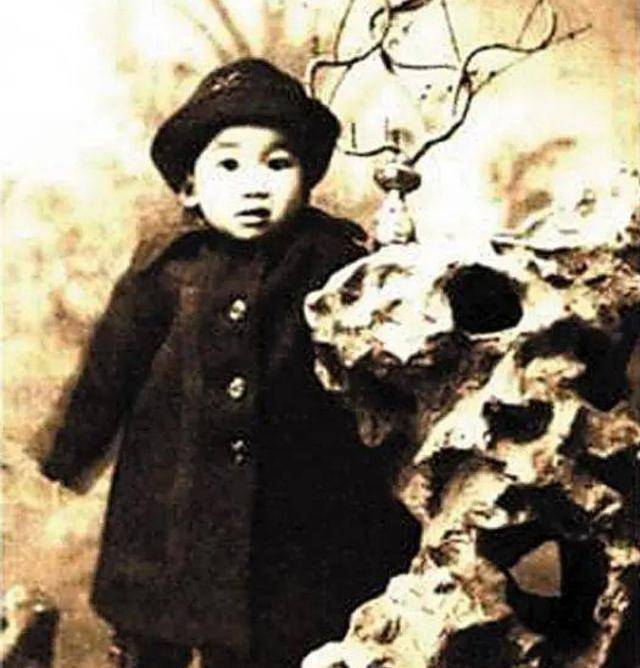 王桂荃一连给梁启超生下了子女6人,即梁思永,梁思忠,梁思懿,梁思达,梁