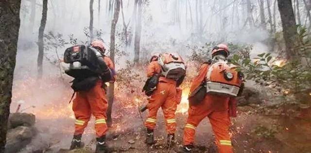 凉山消防员死亡图图片