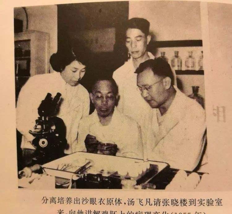 他一生从医,救人无数,61岁自杀,无葬礼祭奠,妻子为他保存骨灰