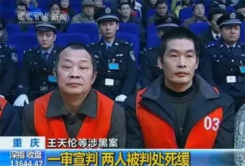 2009年,控制重庆生猪市场多年的"猪霸"王天伦,落入法网