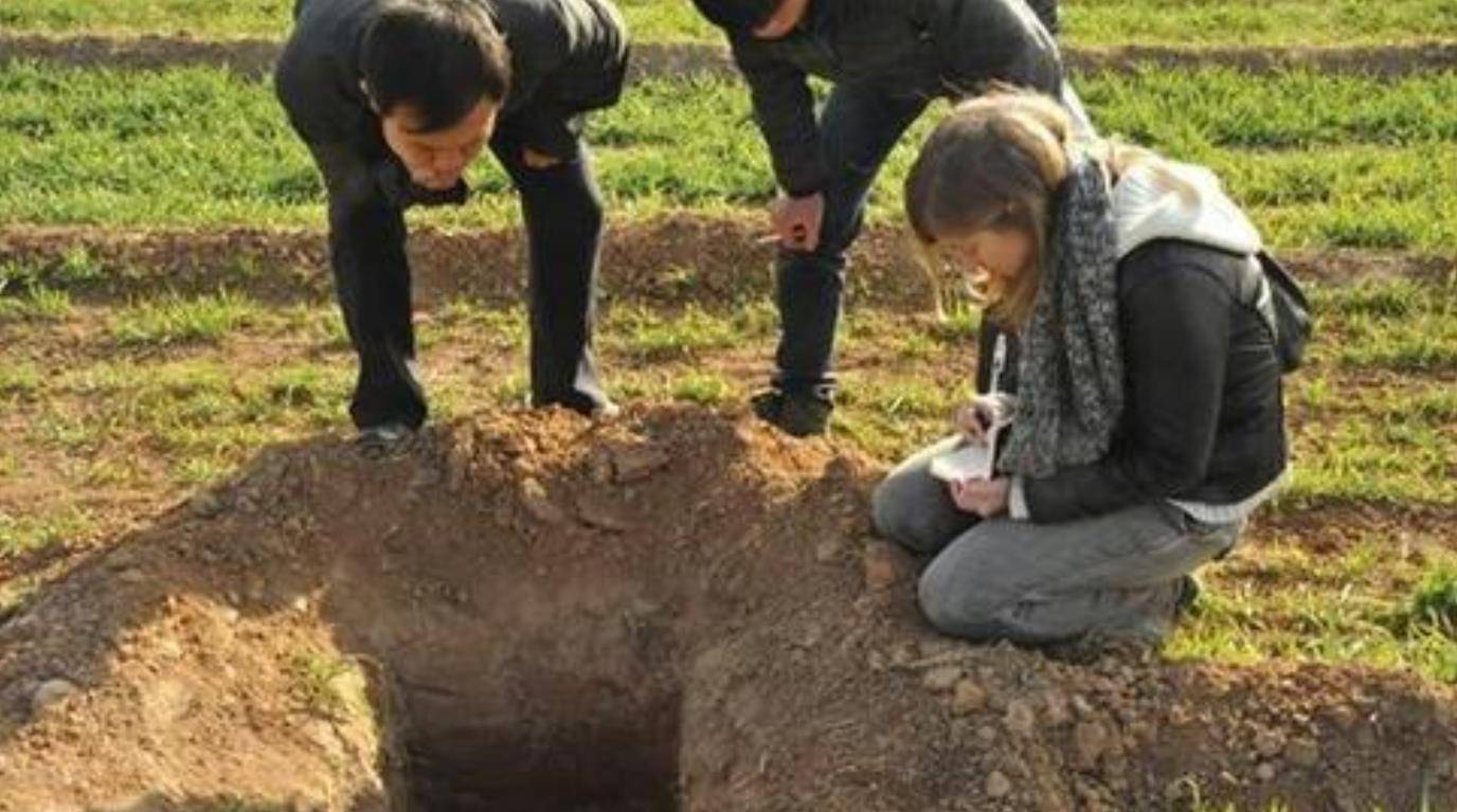 山西突现盗墓团伙,四件青铜器获利640万,到手转卖了940万