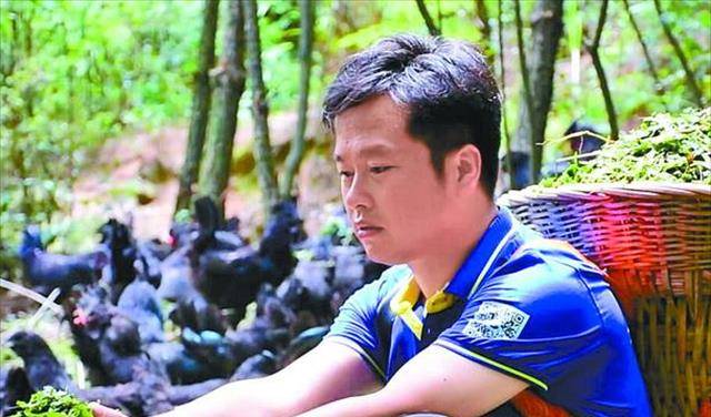 岳父嫌他"没钱买房",跪求他离开自己女儿,他辞职遁入深山养鸡