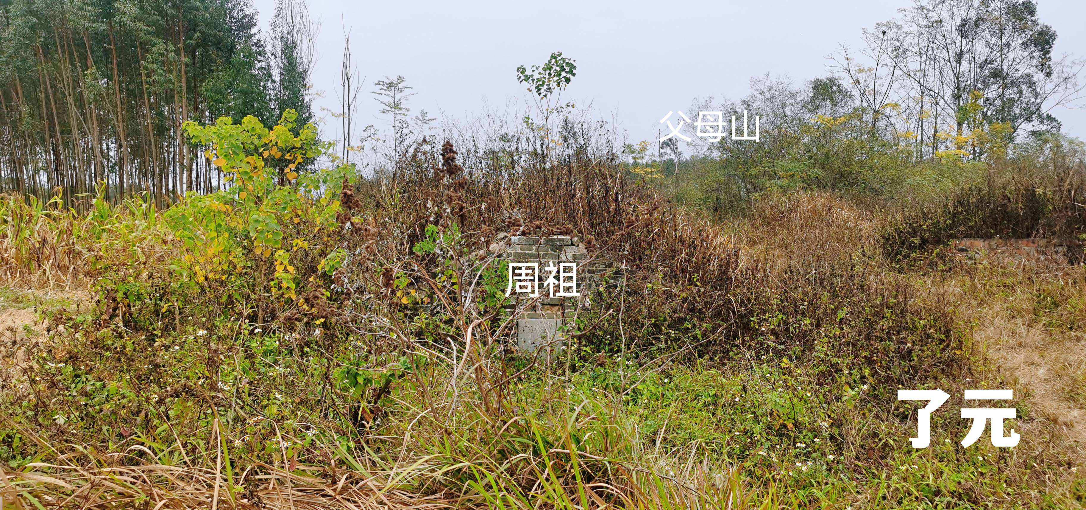 阴宅案例,南宁土坡地形周氏祖坟