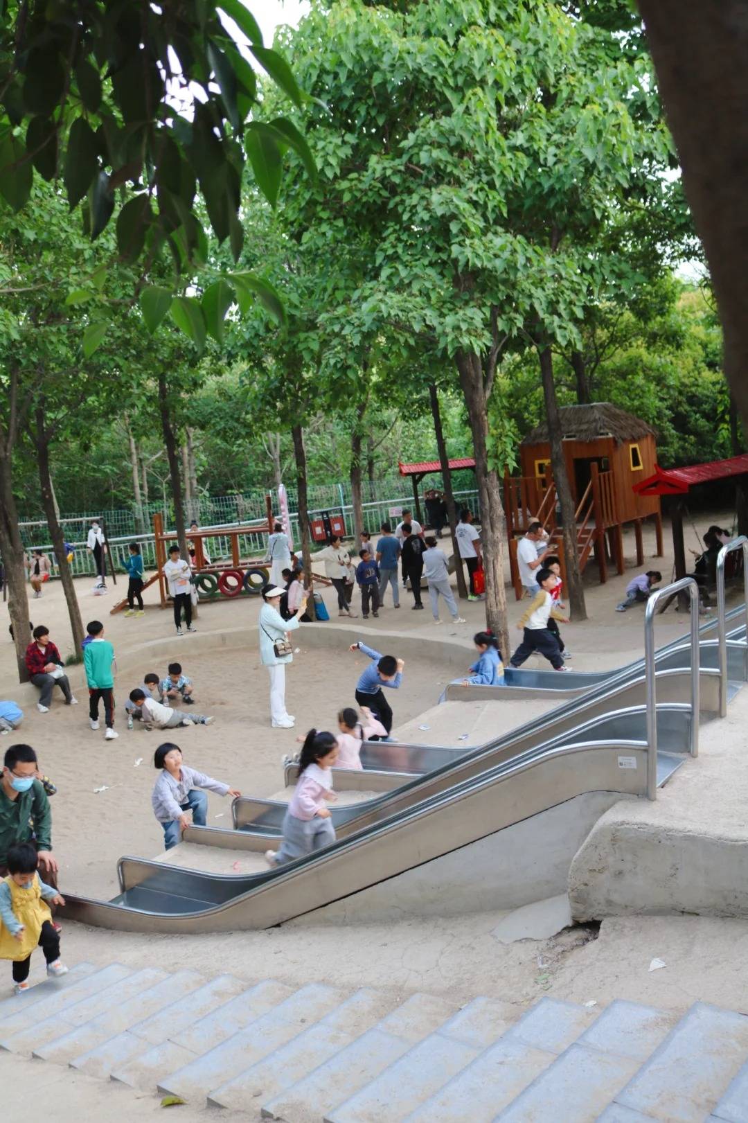 郑州一日游好去处,夏日清凉出游攻略来啦!_生命_惠济区_儿童