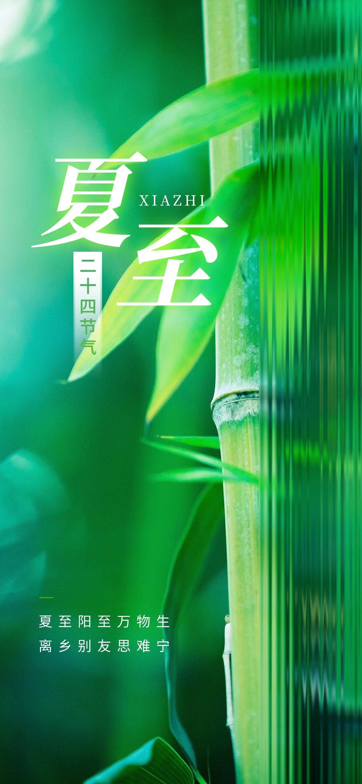 墨言教育丨六月借势海报——夏至