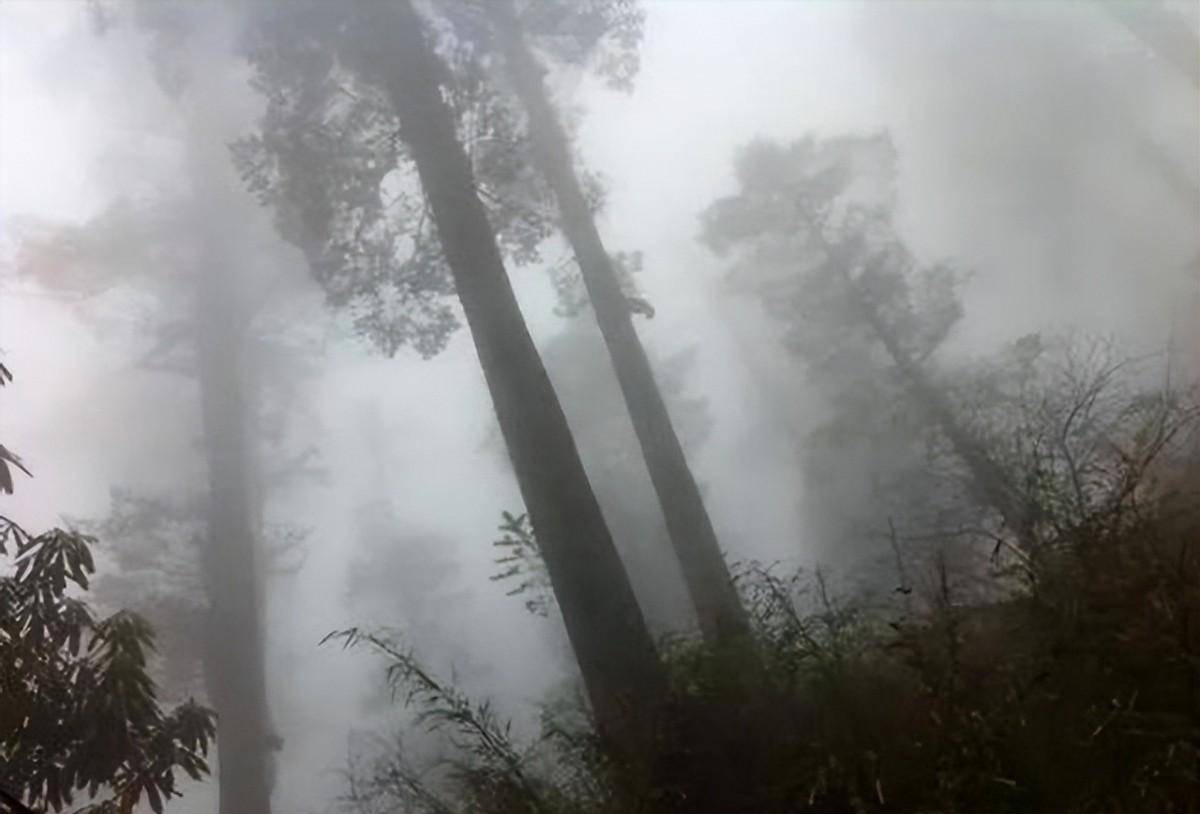 迷魂凼的四周都弥漫着一些气体,这些气体有些是湿度形成的雾气,随着