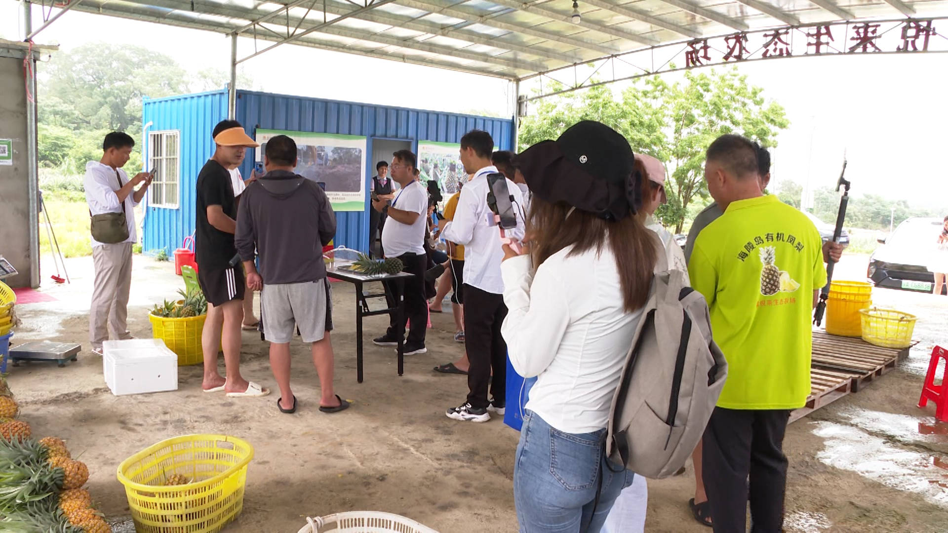 30多名"网红"主播到闸坡镇富悦来生态农场开展助农直播