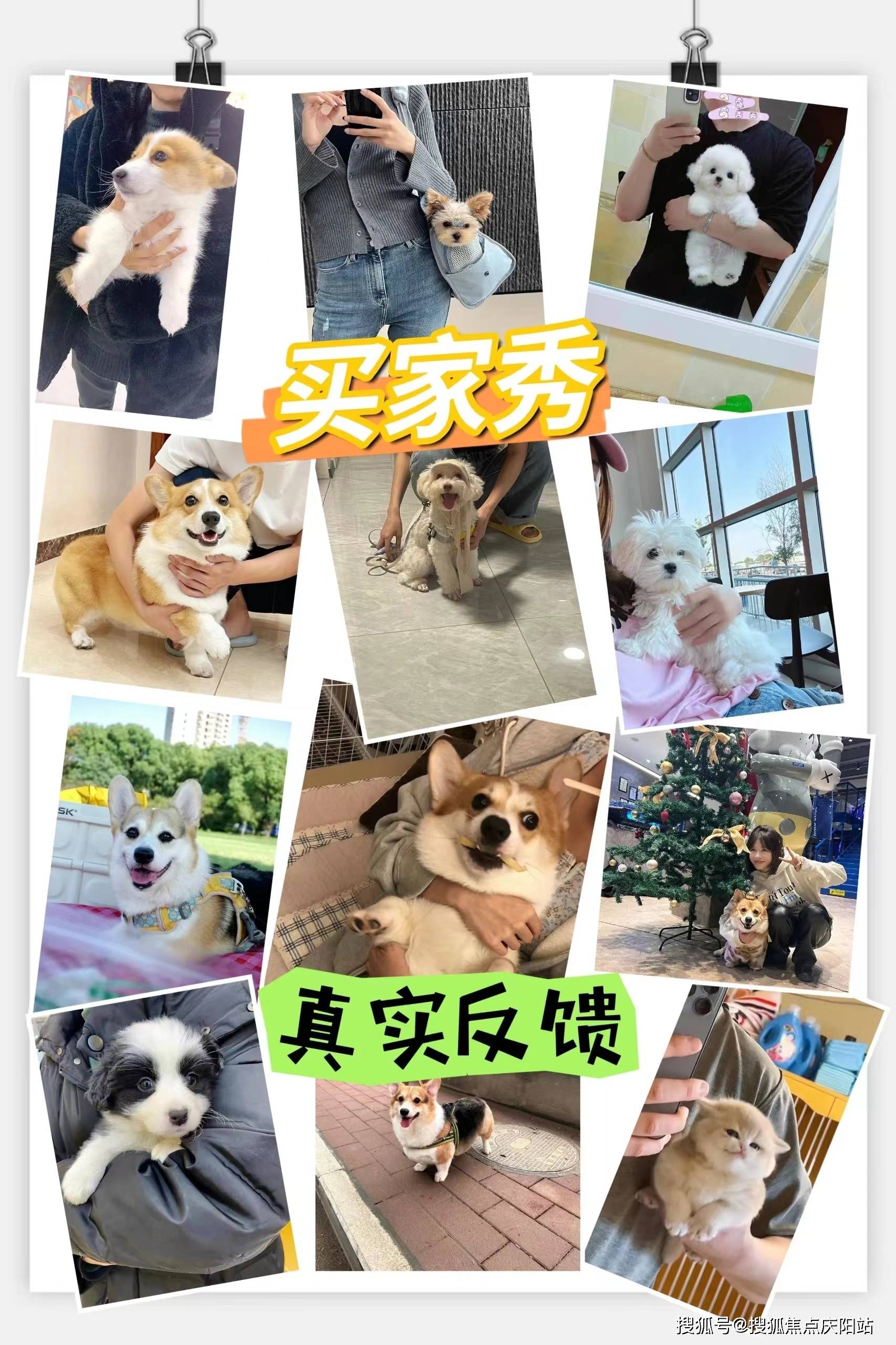 南京福安家宠物店(雨花台店)位于:南京雨花台区西善桥南路3号旁(看宠