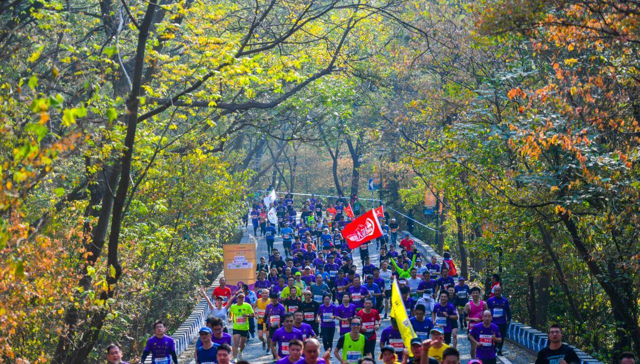 南京马拉松撇开中奥路跑后,还能看上谁