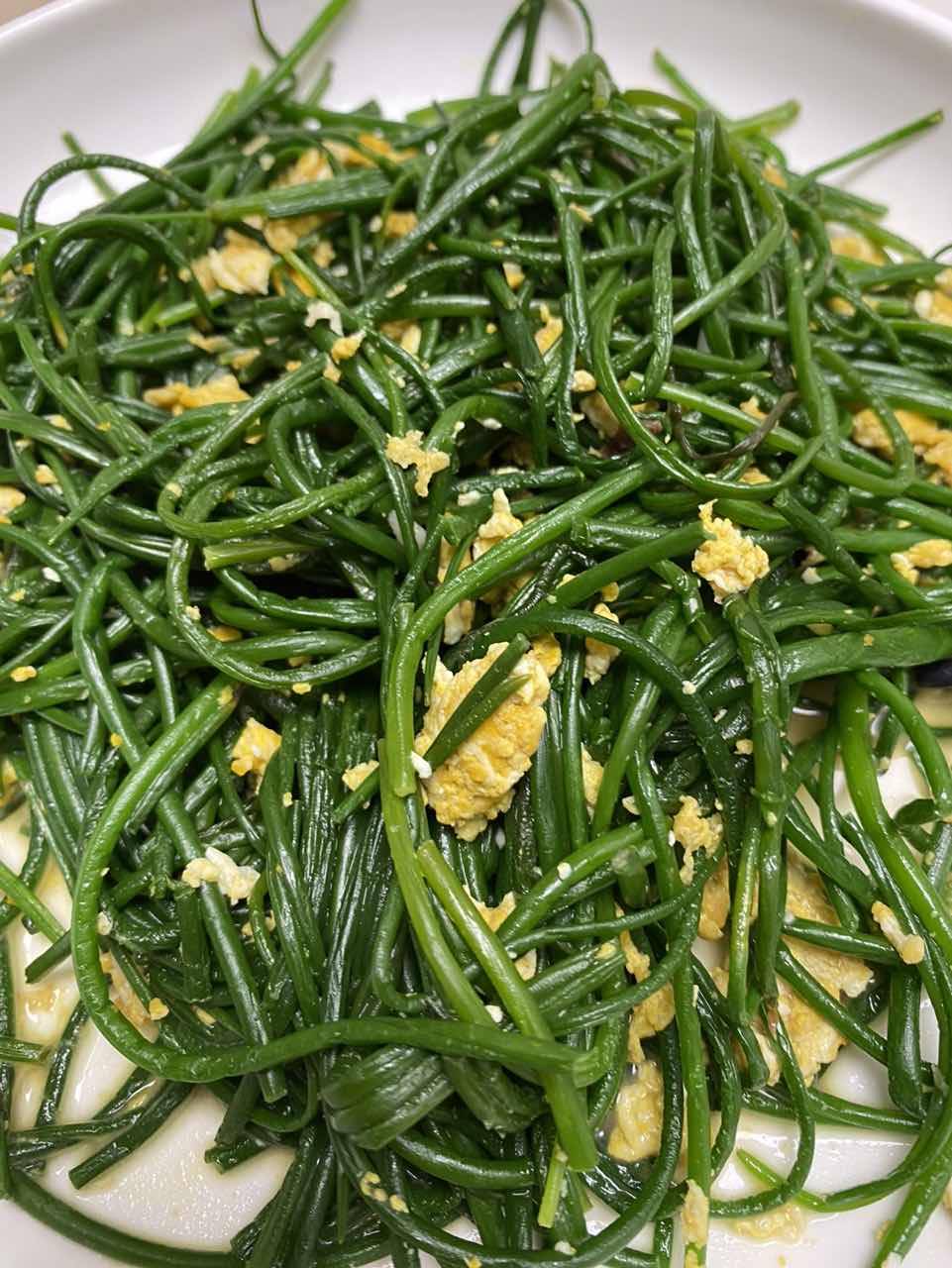 沙葱,家常美食新选择