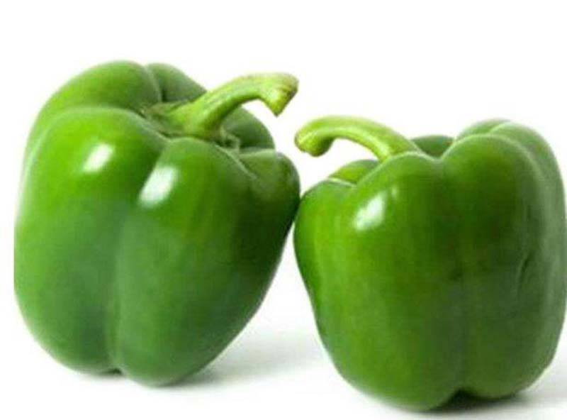 瑞特菜椒高产大果甜椒青椒辣椒种子