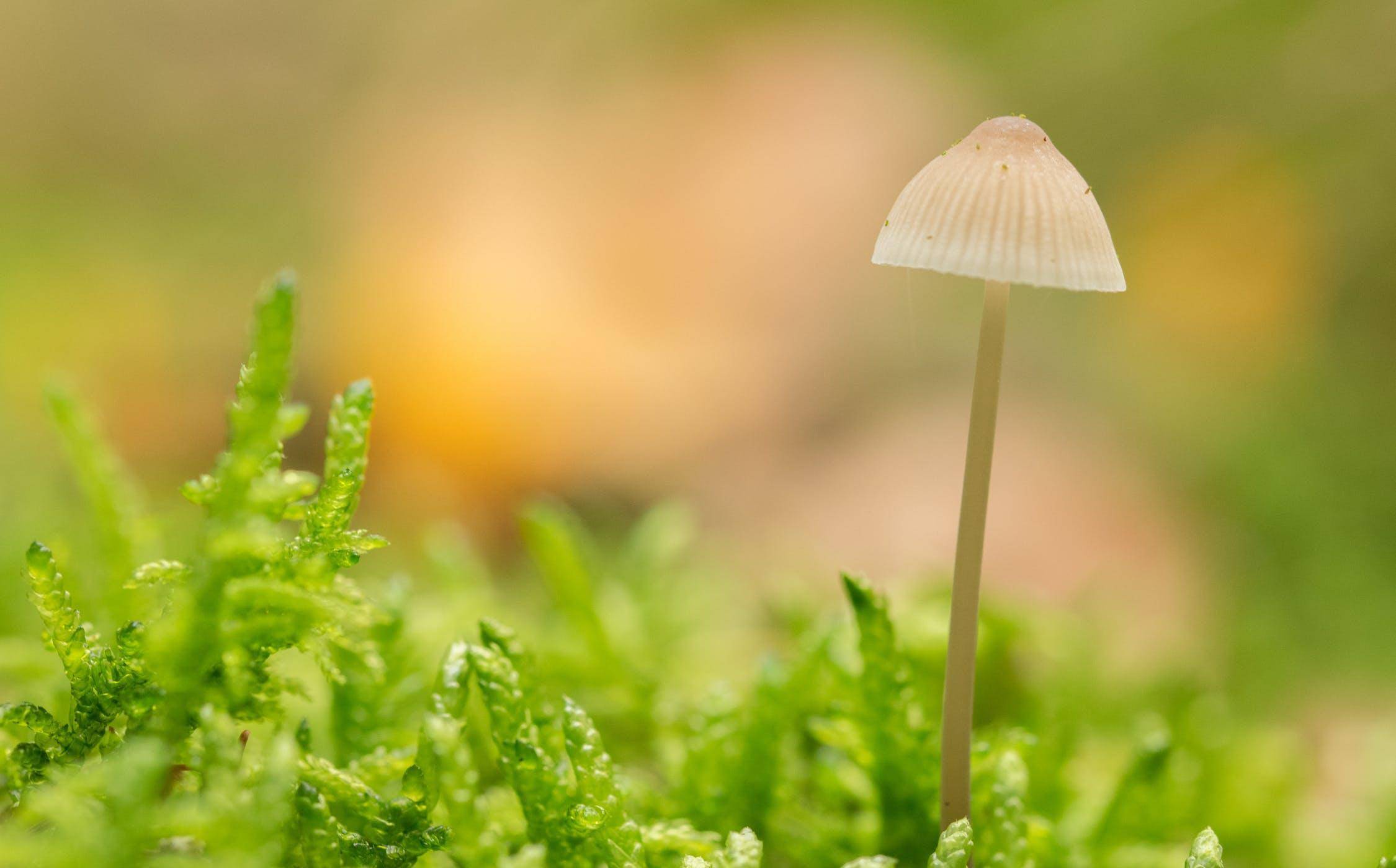 越清醒的人,越简单