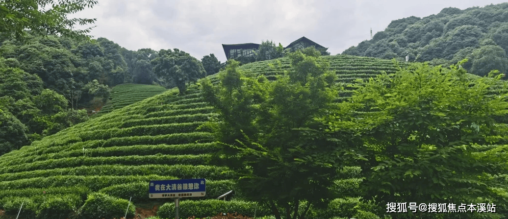 泰康之家大清谷图片图片