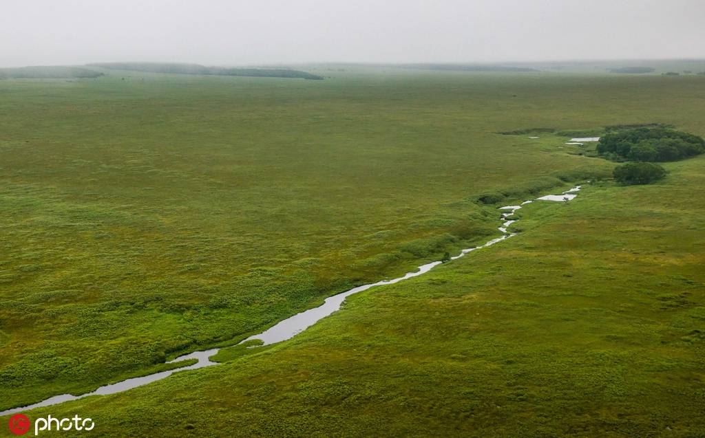 俄罗斯堪察加边疆区森林广阔