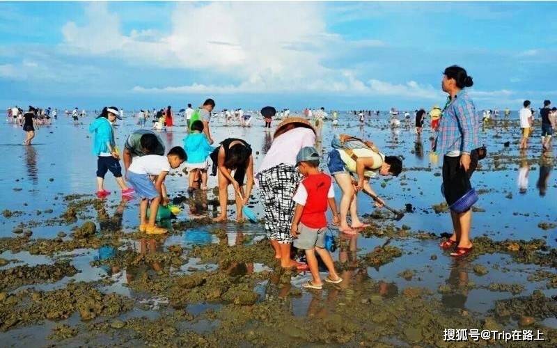 强蛟镇峡山村,西店镇樟树村:宁海北海湾,赶海的渔民比较多,很有氛围感
