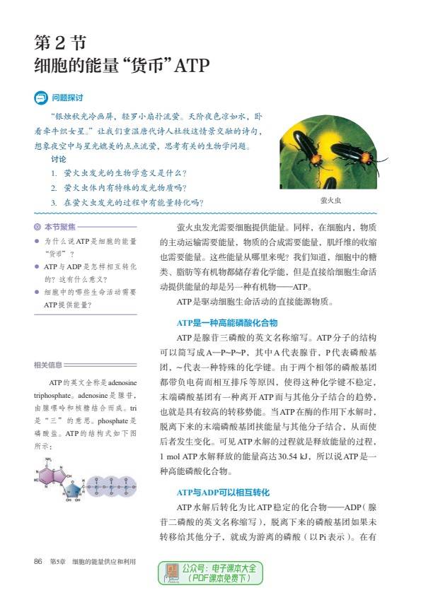 预习高一生物必修1分子与细胞高中必修一电子课本pdf高清版教科书教材