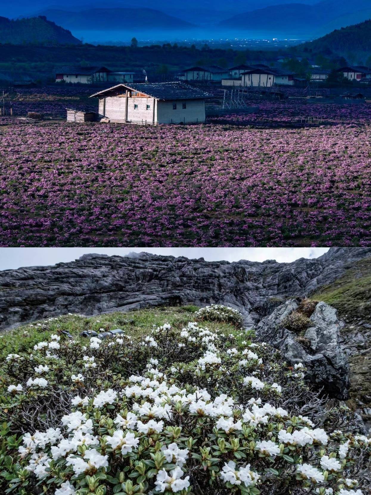 梦想季隐士山谷图片