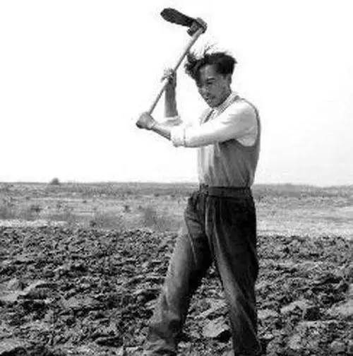 焦裕禄的六个儿女,平凡中绽放,完美的继承了焦裕禄精神