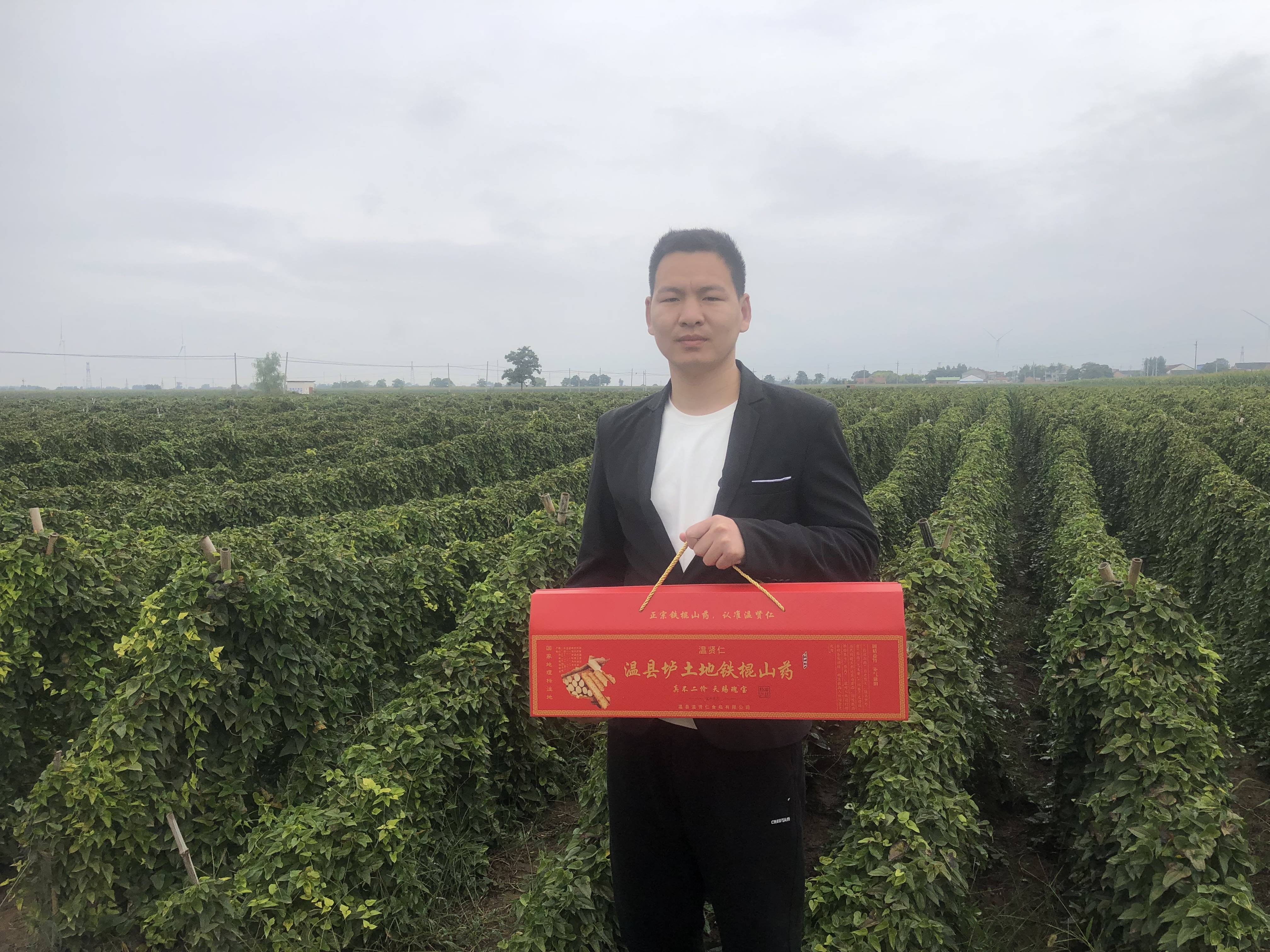 河南焦作温县正宗垆土铁棍山药,温贤仁产地直发