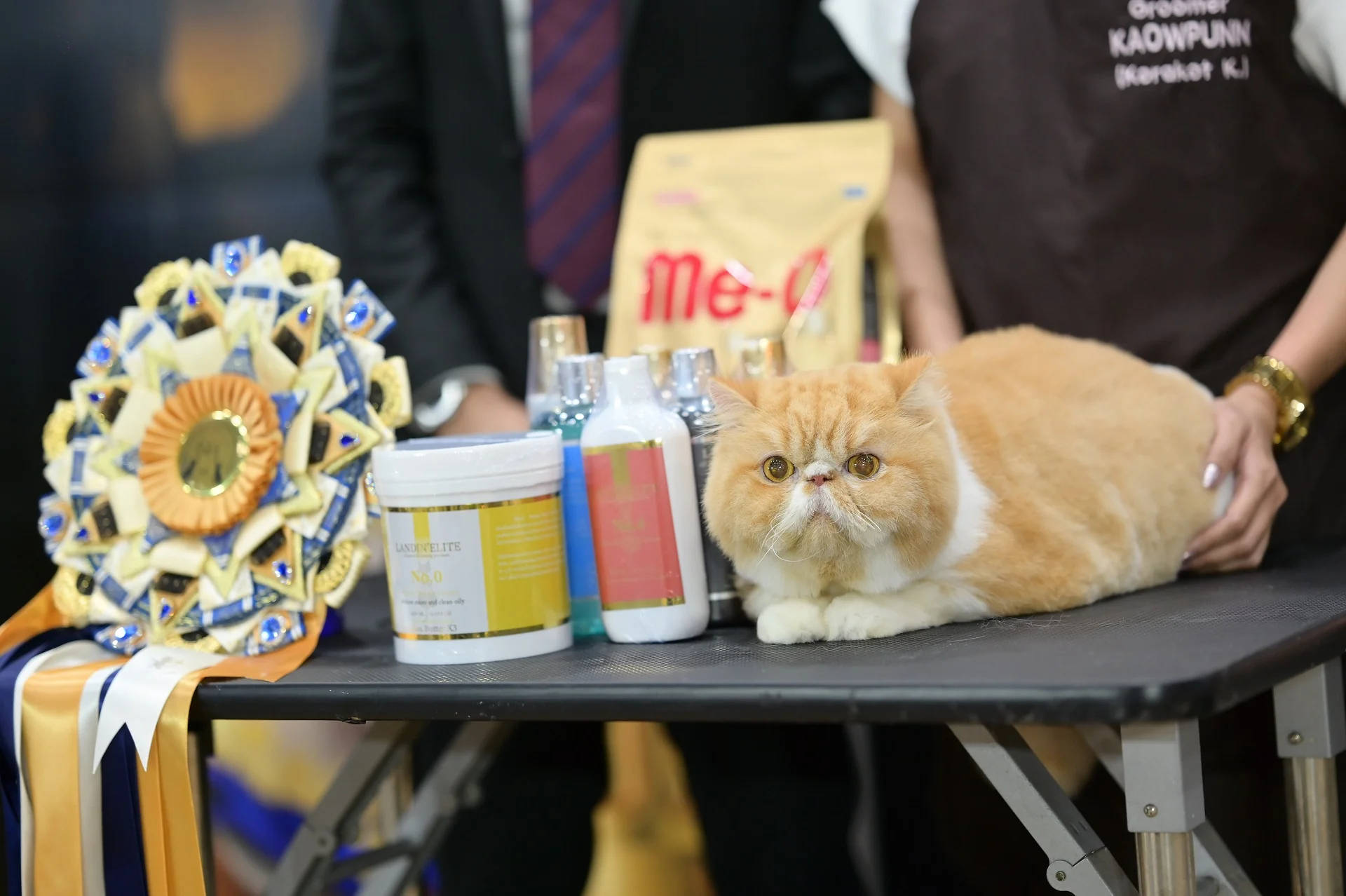 东南亚宠物用品展|2024年泰国国际宠物展 smartheart presents pet