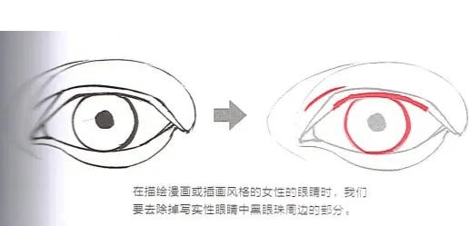 【水彩之翼教育】教你用眼睛去区分男女的画法差异!