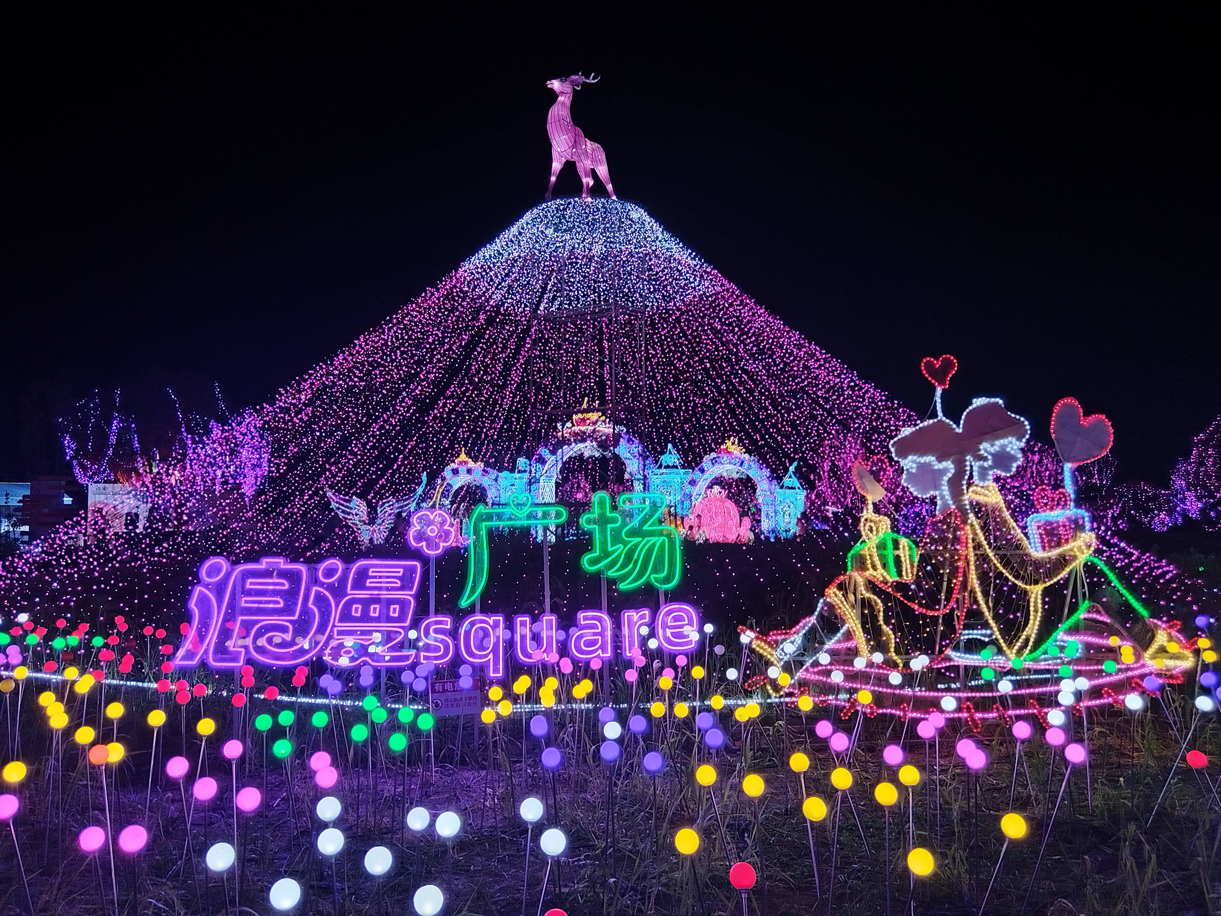 无锡花星球灯光节图片