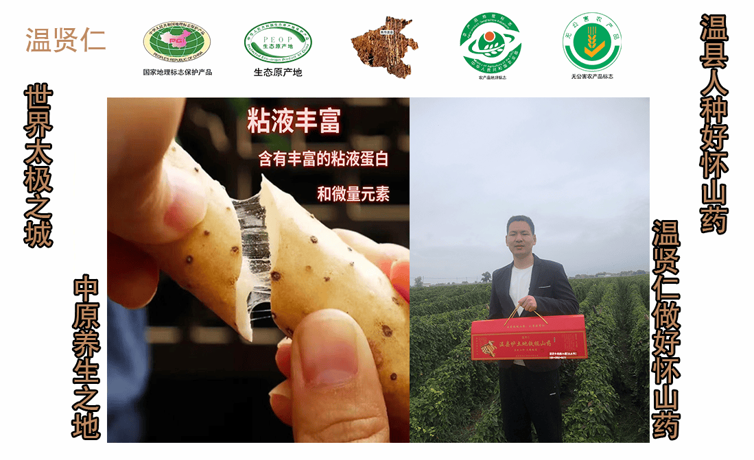 温县垆土铁棍山药:自然的馈赠,健康生活的同行者,道地养生产地直发