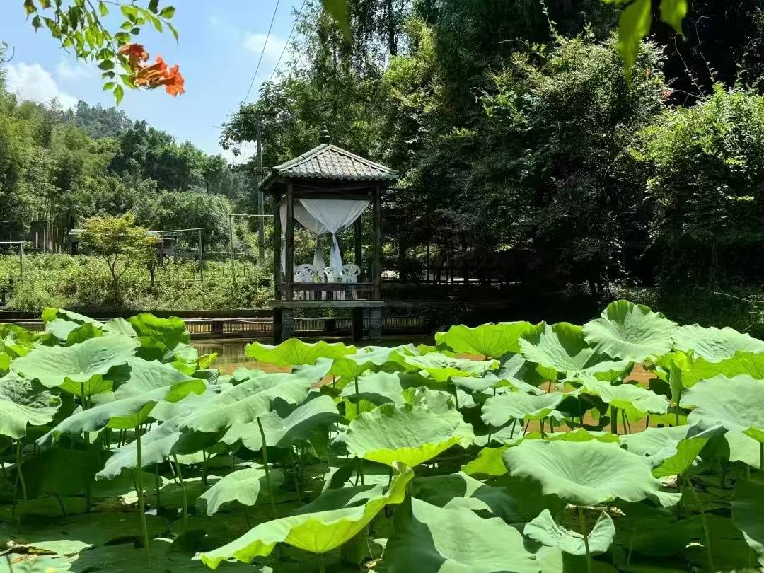 圣灯61蝴蝶谷星空屋 点亮合川乡村旅游新经济