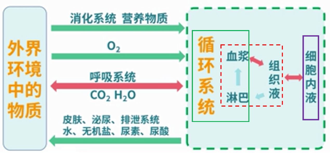 内环境图示图片