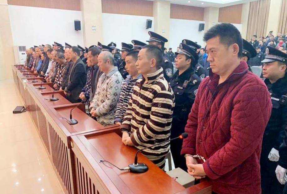 2018年,涉黑团伙撕毁查封令强占工厂,24人获刑