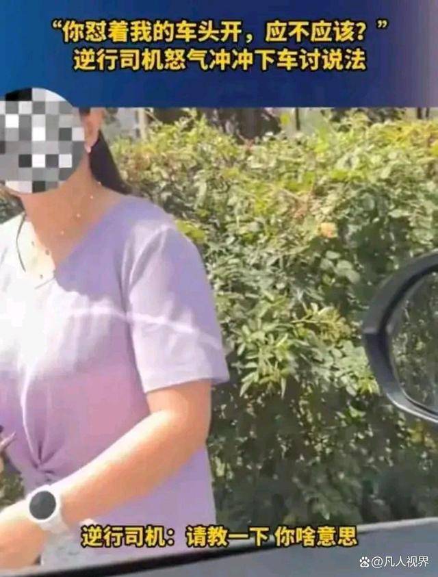 西安奔驰女司机逆行还无理取闹!天网恢恢,疏而不漏,交警会处理