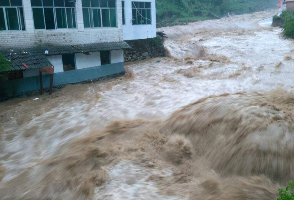 被遗忘的驻马店水库溃坝事件,上百公里内的大树,都被灾民压弯_急电_洪