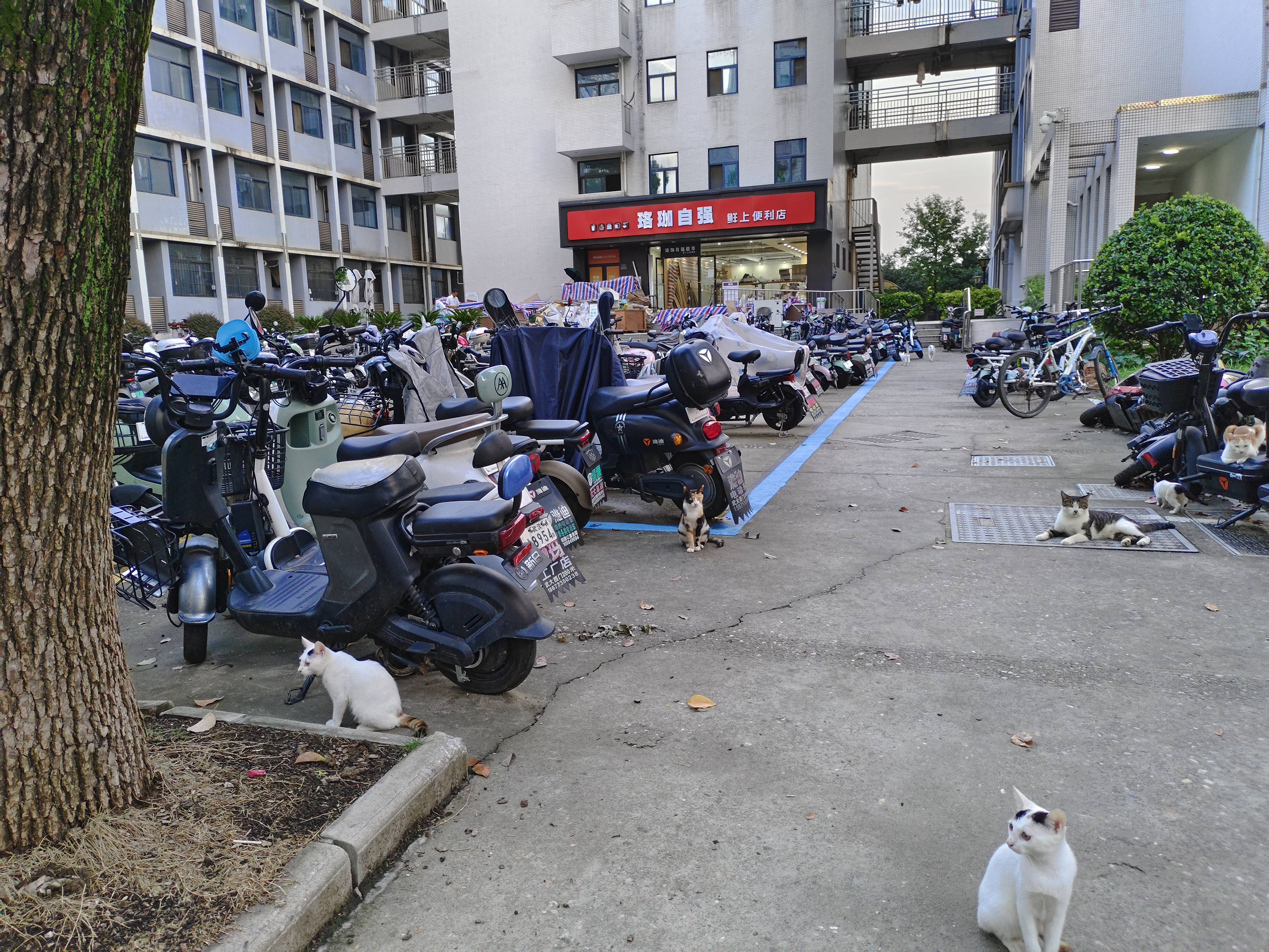武汉大学人民医院康复科尹晶不开处方 康强民建