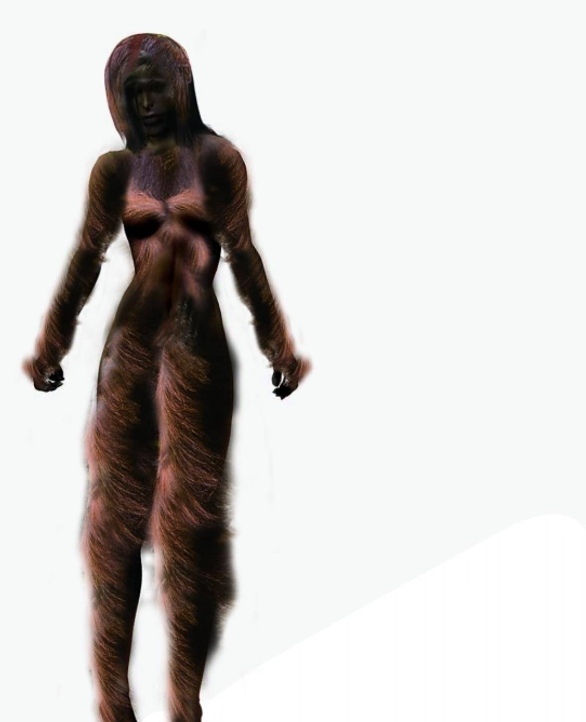 神农架野人之谜,民间千人目击,官方出动调查队大规模搜索